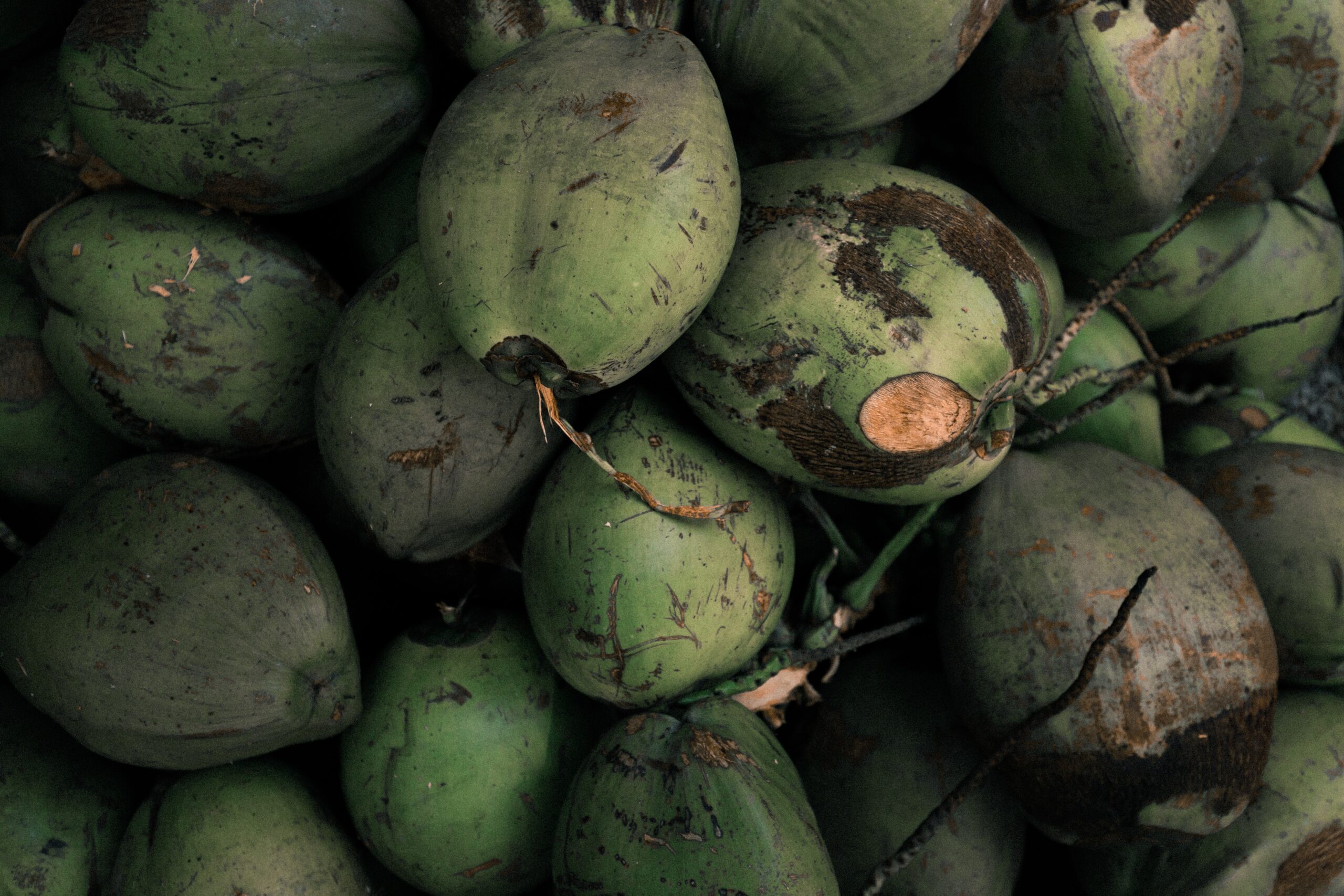 A bunch of Coconuts