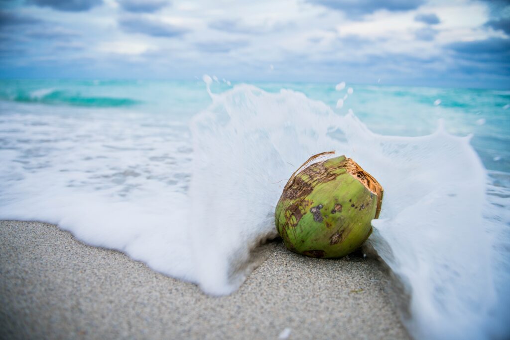 The Best Coconuts in Poipu Kauai!